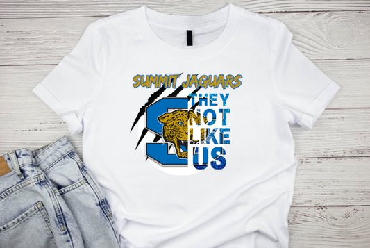 They Not Like Us Summit Shirt